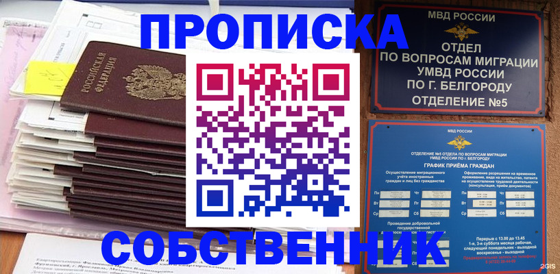 прописка законно в Вышнем Волочке